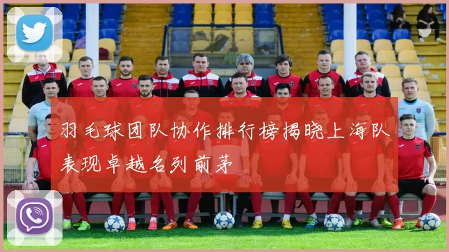 羽毛球团队协作排行榜揭晓上海队表现卓越名列前茅