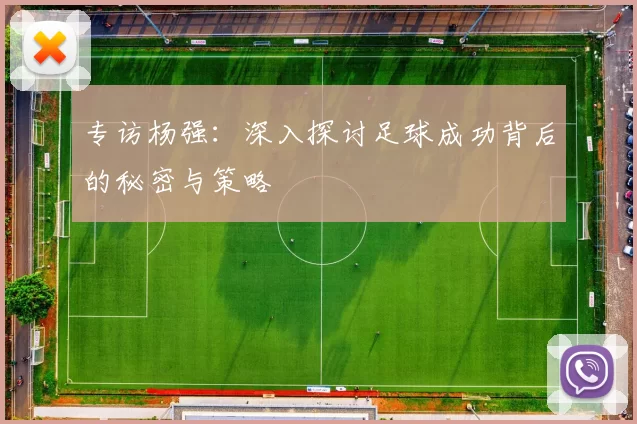 专访杨强：深入探讨足球成功背后的秘密与策略