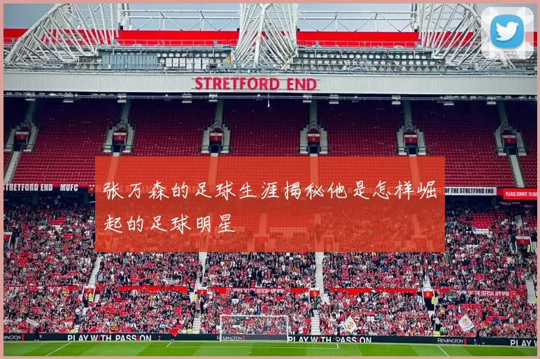 张万森的足球生涯揭秘他是怎样崛起的足球明星