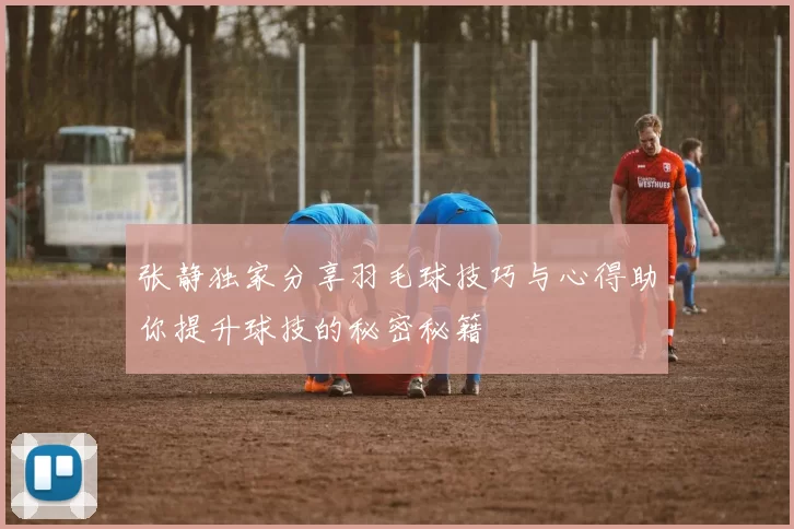 张静独家分享羽毛球技巧与心得助你提升球技的秘密秘籍