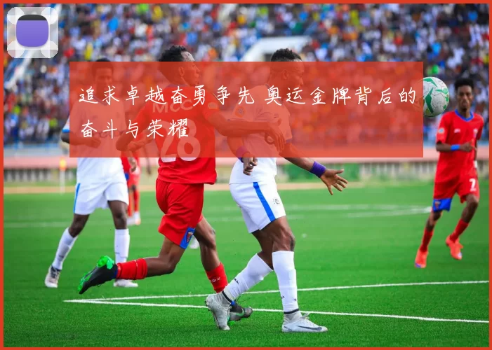 追求卓越奋勇争先 奥运金牌背后的奋斗与荣耀