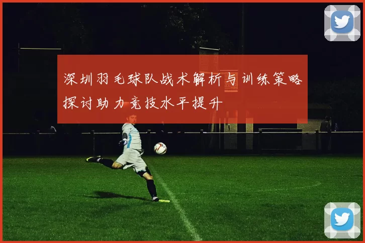 深圳羽毛球队战术解析与训练策略探讨助力竞技水平提升