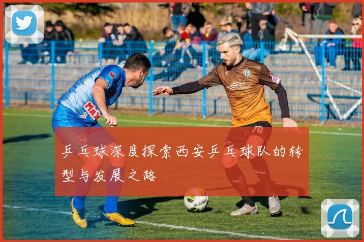 乒乓球深度探索西安乒乓球队的转型与发展之路