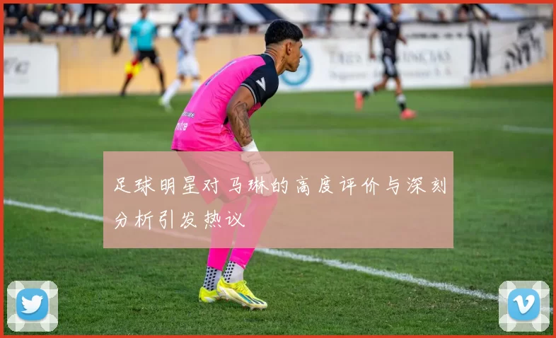 足球明星对马琳的高度评价与深刻分析引发热议