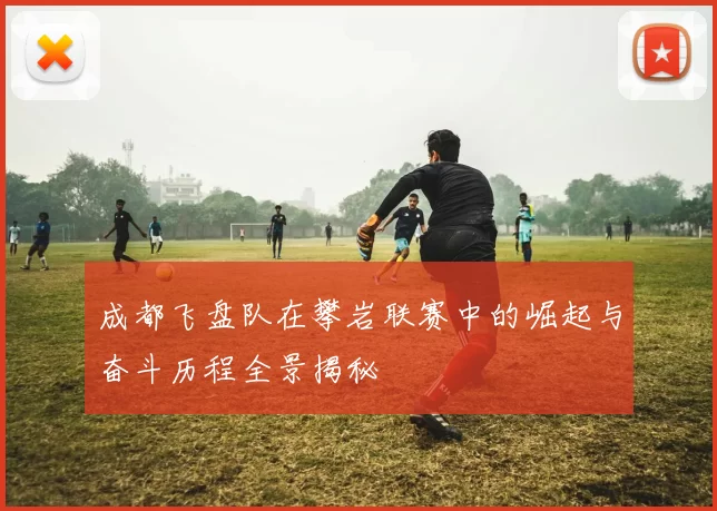 成都飞盘队在攀岩联赛中的崛起与奋斗历程全景揭秘