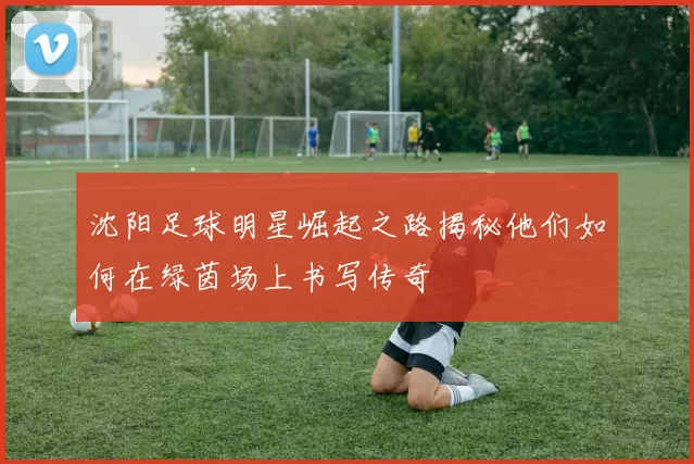 沈阳足球明星崛起之路揭秘他们如何在绿茵场上书写传奇