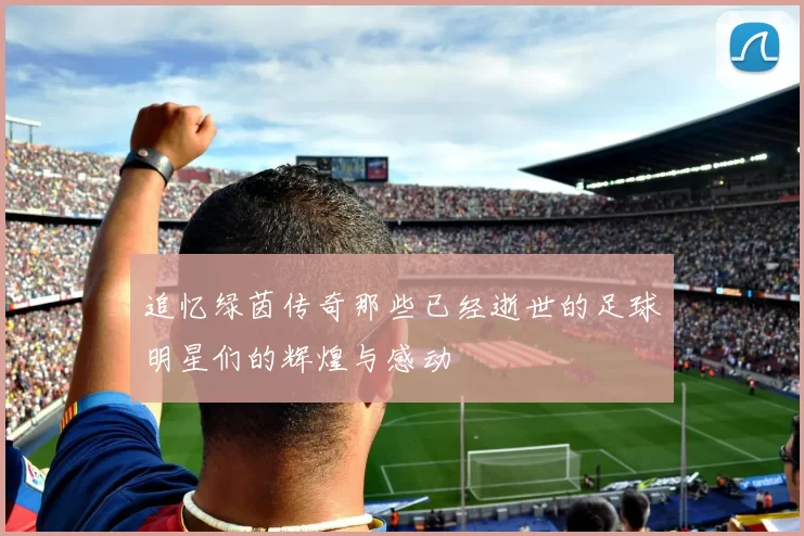 追忆绿茵传奇那些已经逝世的足球明星们的辉煌与感动