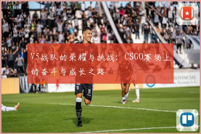 V5战队的荣耀与挑战：CSGO赛场上的奋斗与成长之路