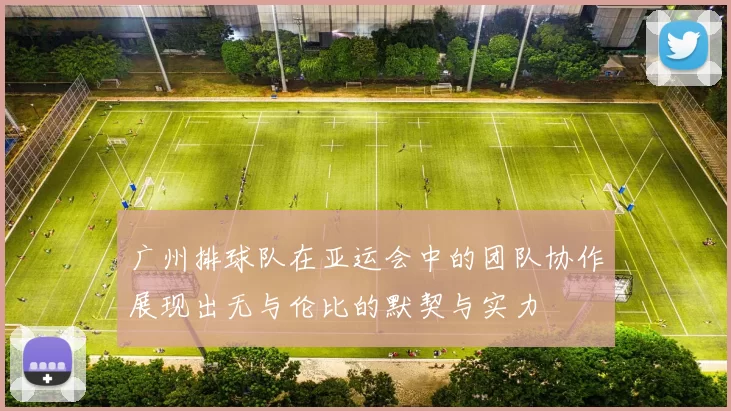 广州排球队在亚运会中的团队协作展现出无与伦比的默契与实力