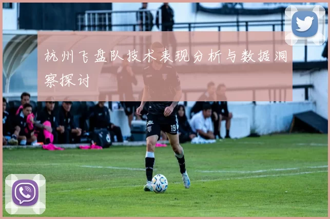 杭州飞盘队技术表现分析与数据洞察探讨