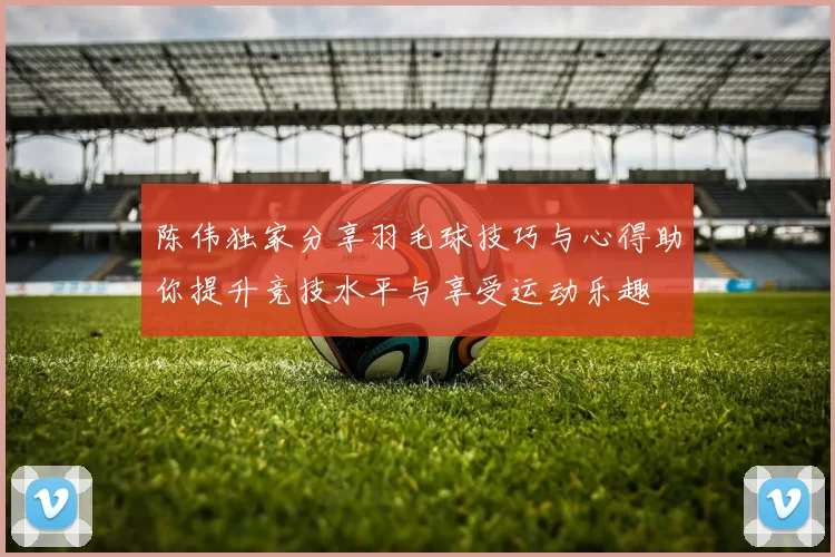 陈伟独家分享羽毛球技巧与心得助你提升竞技水平与享受运动乐趣