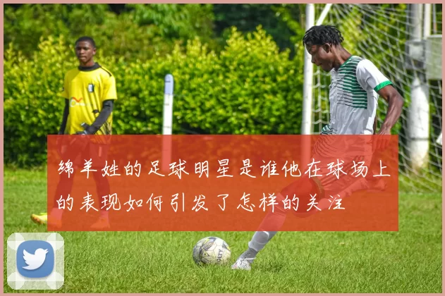 绵羊姓的足球明星是谁他在球场上的表现如何引发了怎样的关注