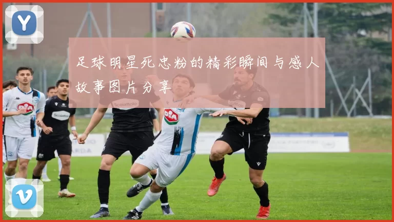 足球明星死忠粉的精彩瞬间与感人故事图片分享