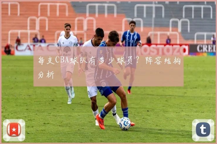 每支CBA球队有多少球员？阵容结构分析