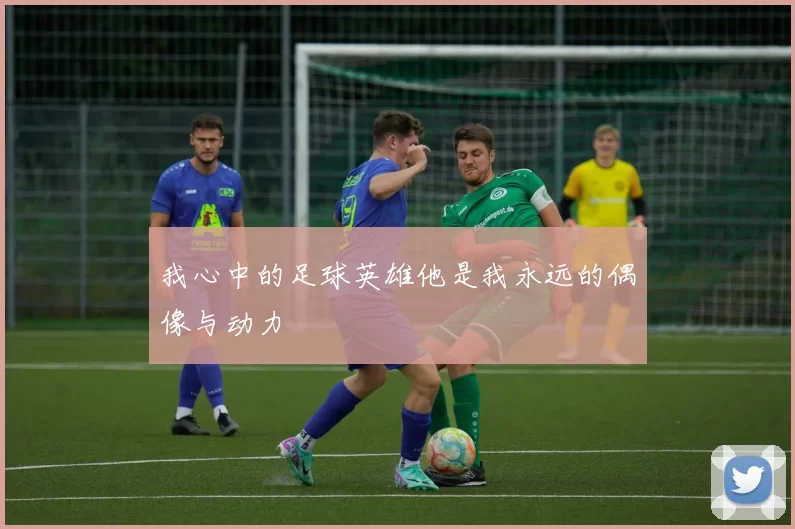 我心中的足球英雄他是我永远的偶像与动力