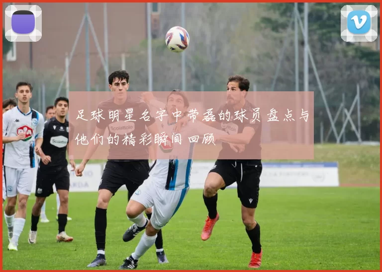 足球明星名字中带磊的球员盘点与他们的精彩瞬间回顾