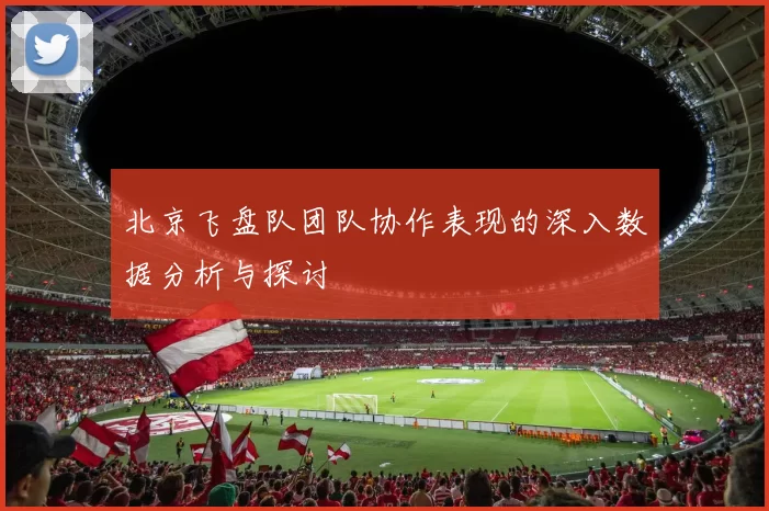 北京飞盘队团队协作表现的深入数据分析与探讨