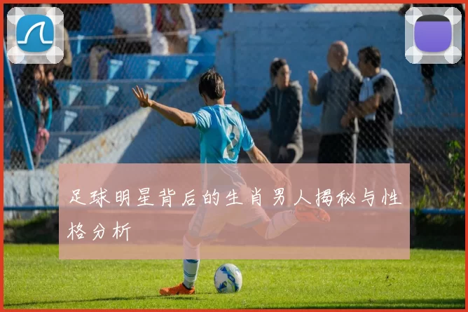 足球明星背后的生肖男人揭秘与性格分析