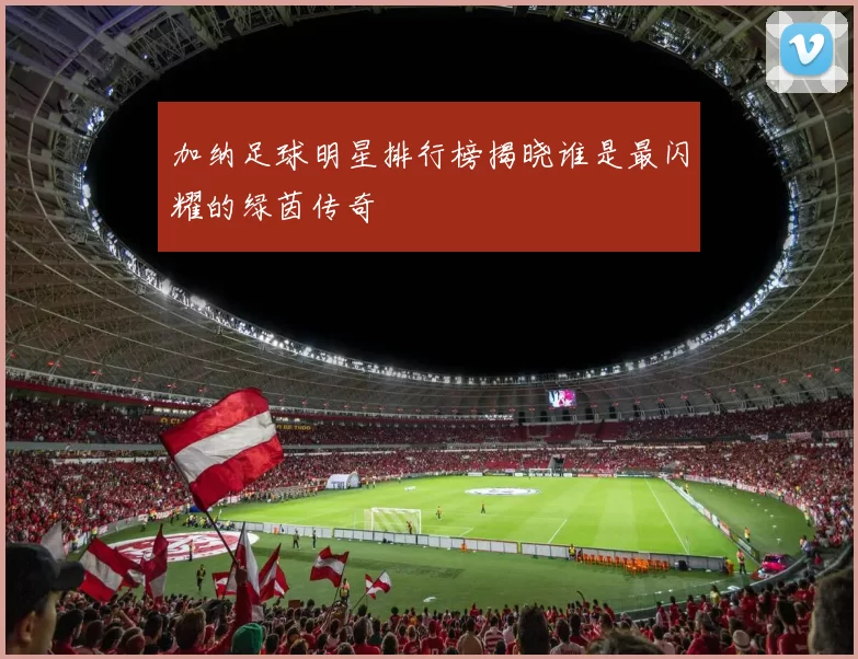 加纳足球明星排行榜揭晓谁是最闪耀的绿茵传奇