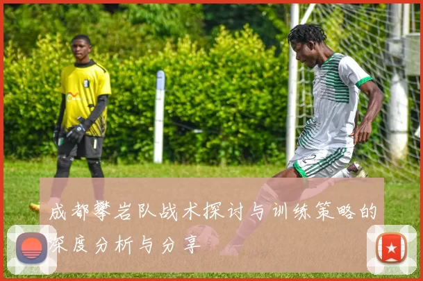 成都攀岩队战术探讨与训练策略的深度分析与分享