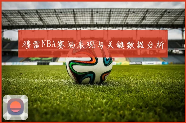 穆雷NBA赛场表现与关键数据分析
