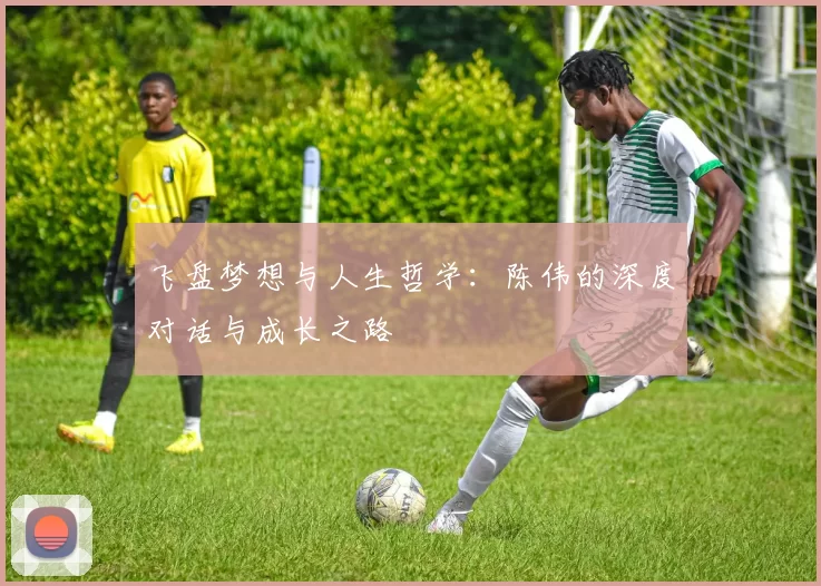 飞盘梦想与人生哲学：陈伟的深度对话与成长之路