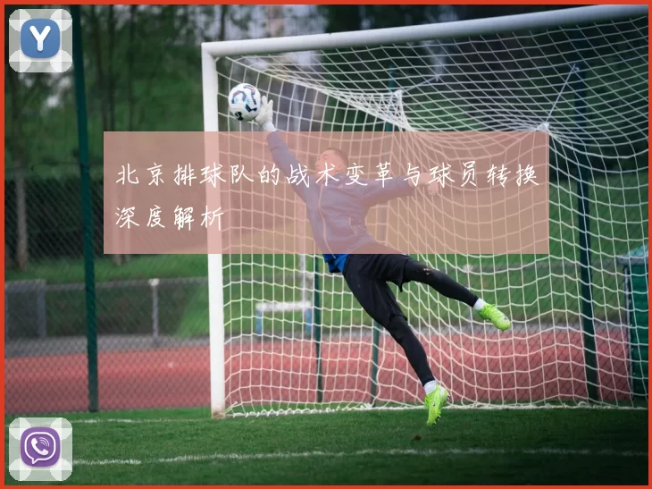 北京排球队的战术变革与球员转换深度解析