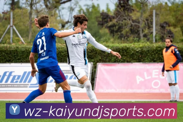 开云体育服务体系